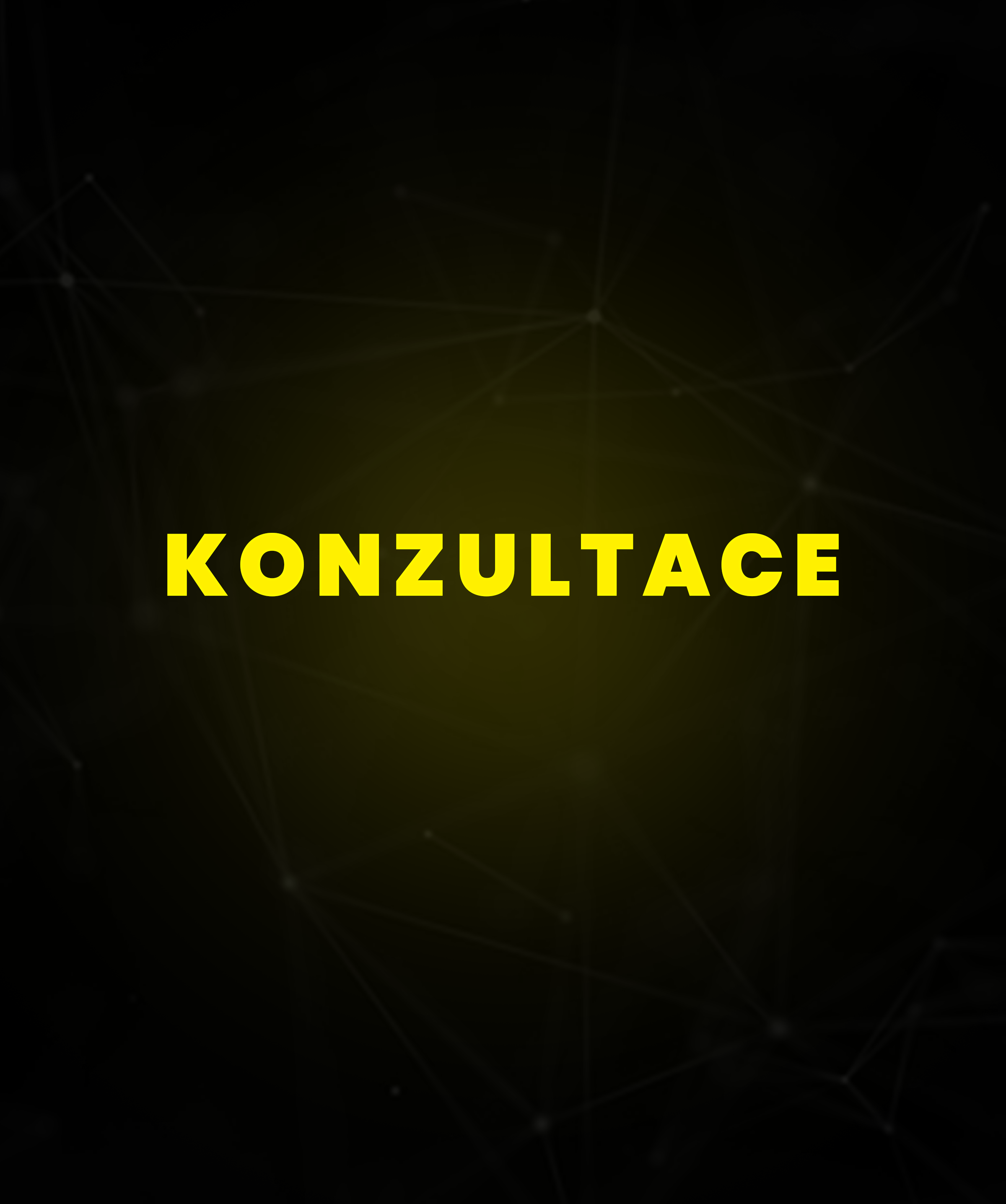 KONZULTACE